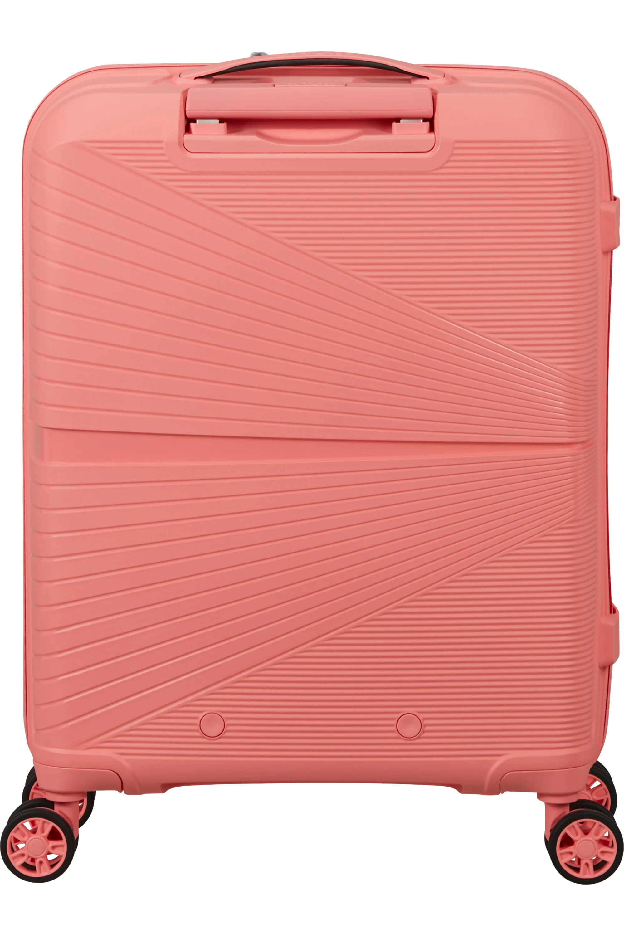 Imagen del producto 146